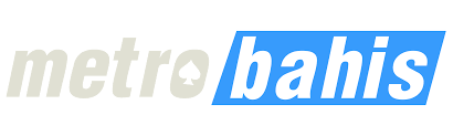 Anlık Erişim Rehberi logosu